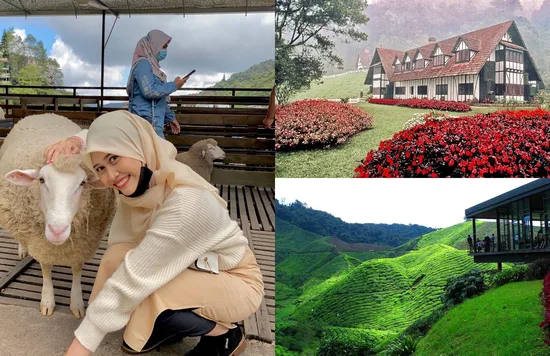 tempat menarik di cameron highlands