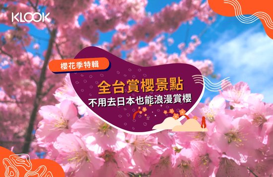 台灣櫻花景點：櫻花季