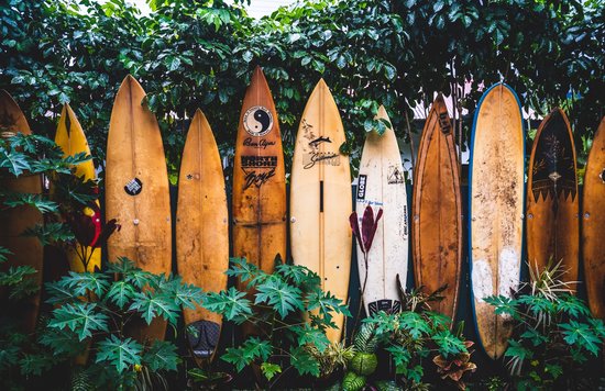 Surfboards in Hawaii