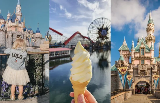 Image credits to @cherubbusa, @poweredbymickeypretzels, and @multimueller on Instagram