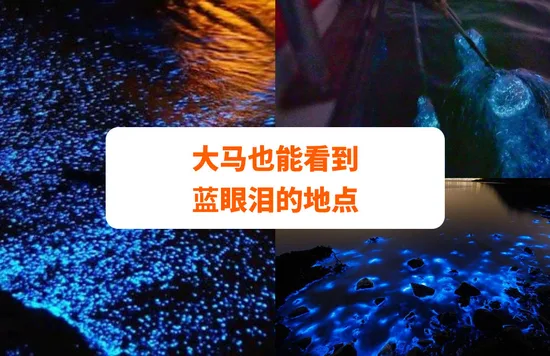 大马观看蓝眼泪 的8大地点