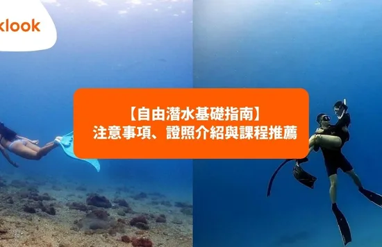 自由潛水：潛水推薦