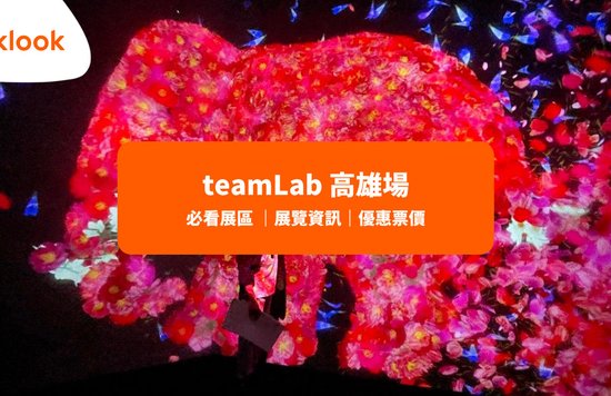 teamLab 台灣 2022高雄 展覽必看