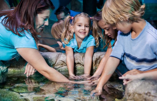 a group of kids playing around at sea life london aquarium