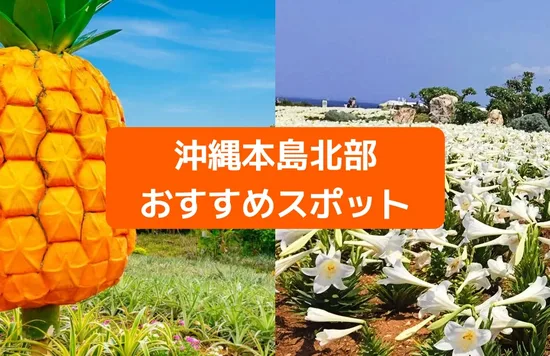 沖縄北部で観光するなら？｜定番から穴場までおすすめ観光スポット9選