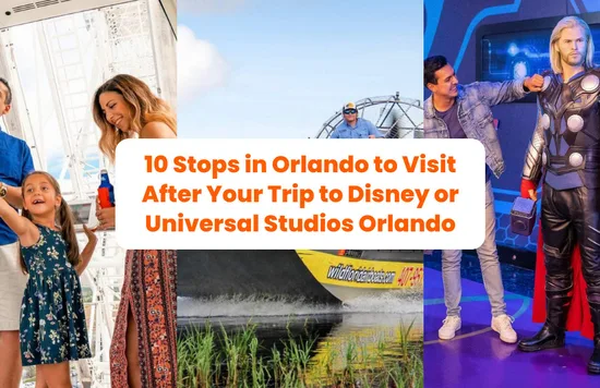 Orlando head banner