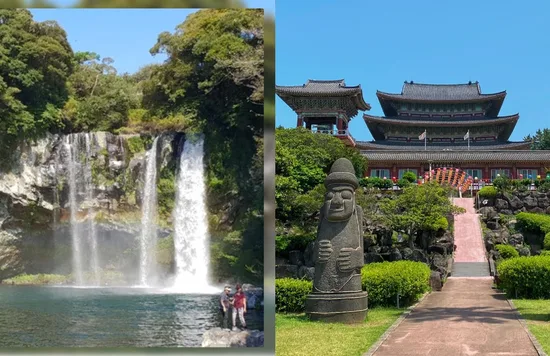 Ground of Camellia Hill and Yakcheonsa Temple