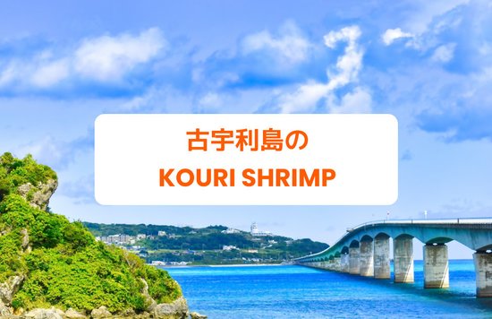 古宇利島　Kouri Shrimp