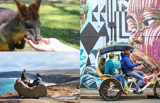 Best Adelaide Things to Do