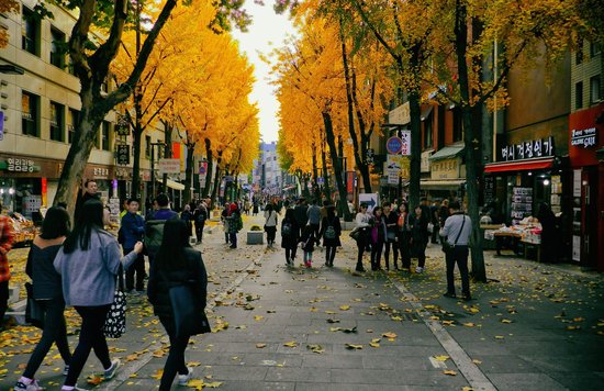 Street during Autumn