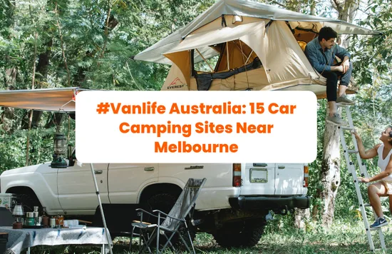 two people camping inside a van in the woods