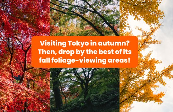 Tokyo autumn foliage triptych