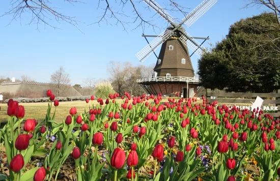 ふなばしアンデルセン公園