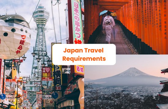 Japan Travel Requirements