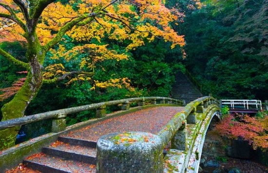 Relish in the colours of autumn at Minoo Park.  Credits: Kanokpol Tokumhnerd on Flickr