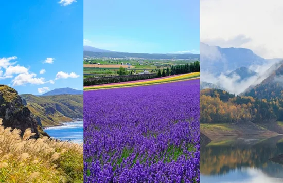 北海道ならではの絶景スポット11選
