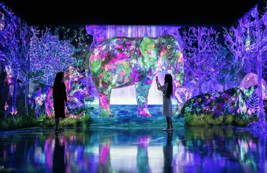 日本體驗：teamlab