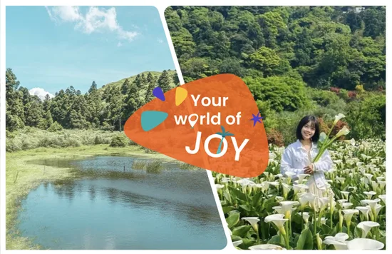 陽明山一日遊景點攻略