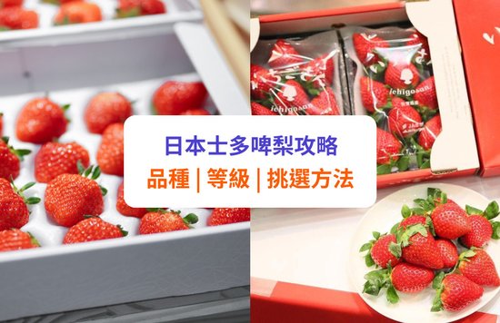 【日本士多啤梨】熱門品種、等級及挑選方法!附摘草莓活動推介