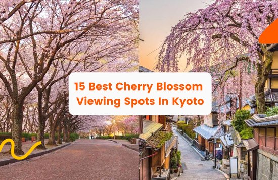 15 best cherry blossom viewing spots in Kyoto