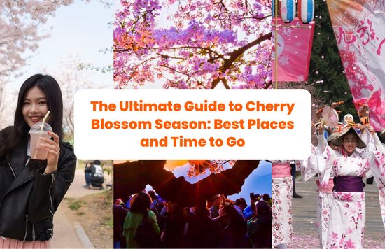 The Ultimate Guide to Cherry Blossom Season: Best Places and Time to Go banner
