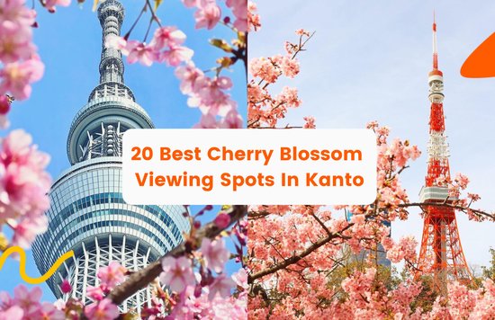 20 Best Cherry Blossom Viewing Spots In Kanto Japan