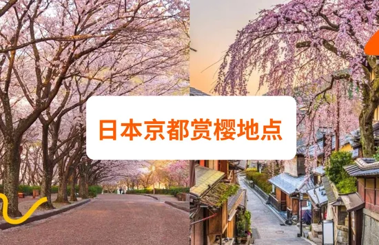 日本京都赏樱地点