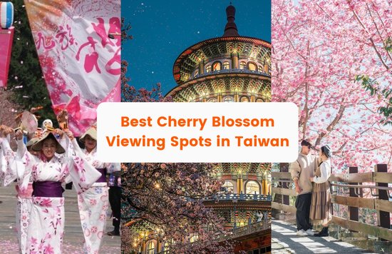 Cherry Blossom Viewing Spots In Taiwan Cherry Blossom Forecast 2023