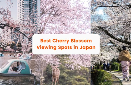 Cherry Blossom Viewing Spots In Japan Cherry Blossom Forecast 2023