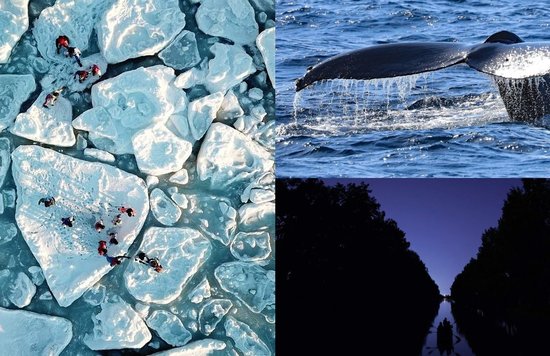 Nature Escapes You Have To Try When In Japan