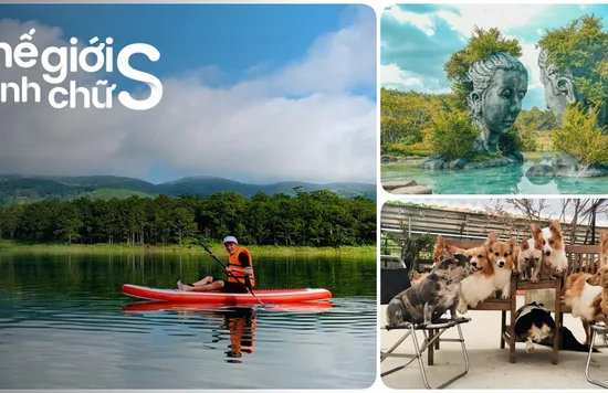 https://www.klook.com/vi/city/207-da-lat-things-to-do/