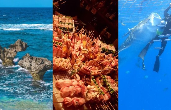 Explaining the main island of Okinawa by area! Choose your accommodation area according to your sightseeing purpose