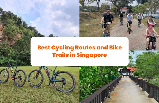 24 Best Cycling Routes and Bike Trails in Singapore for a Fun Weekend Adventure banner