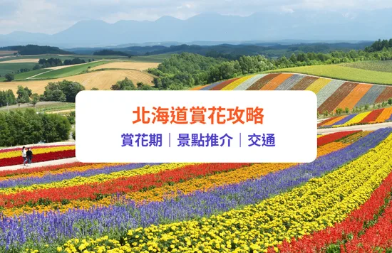 北海道花期, 北海道花田, 北海道花季, 北海道夏天景點