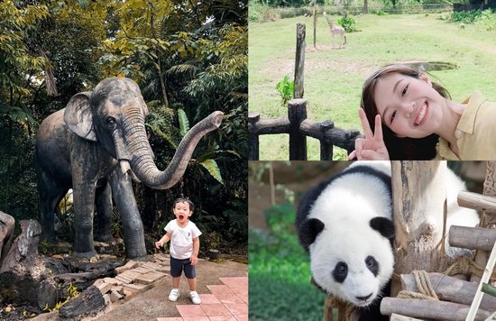 MY BM Zoo Negara Review