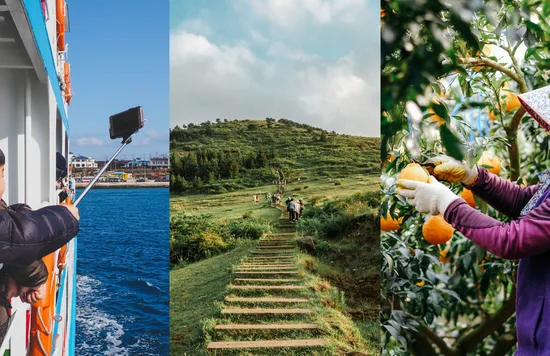 Image credits to Harry Cunningham, jaemin don, and insung yoon on Unsplash