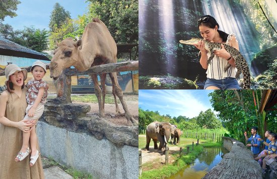 MY BM 10 Zoo & Taman Hidupan Liar Terbaik Di Malaysia