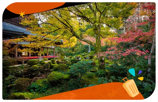 京都楓葉