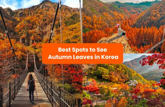 where to see autumn leaves in korea