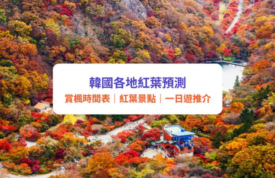 韓國紅葉2023 賞楓時間表 紅葉景點推介