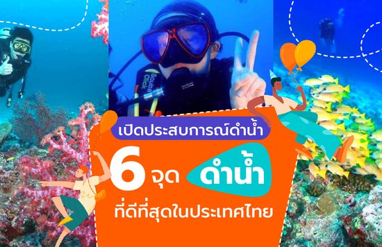 เปิดประสบการณ์ดำน้ำ | 6 จุดดำน้ำที่ดีที่สุดในประเทศไทย