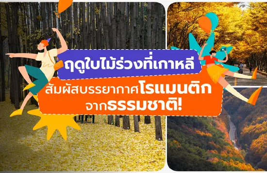 ฤดูใบไม้ร่วงที่เกาหลี สัมผัสบรรยากาศโรแมนติกจากธรรมชาติ!-01