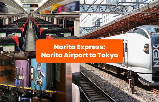 Narita Express Train