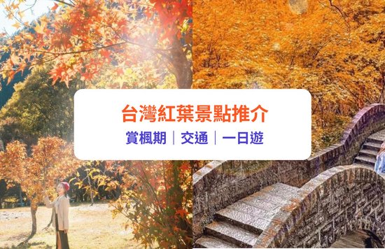 台灣紅葉推介
