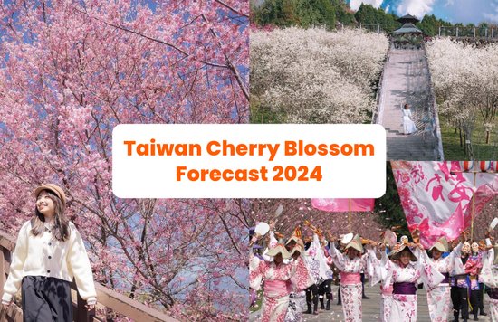 Cherry blossom header
