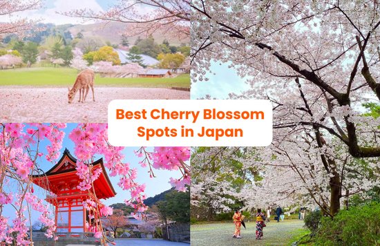 best places to see cherry blossoms in japan 2024