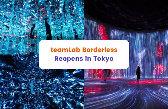 teamLab Borderless Reopens in Tokyo