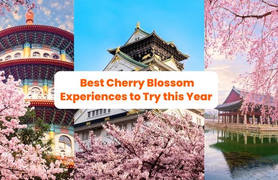 Pink Skies from Sunrise to Sunset: Best Cherry Blossom Experiences to Try this 2023!