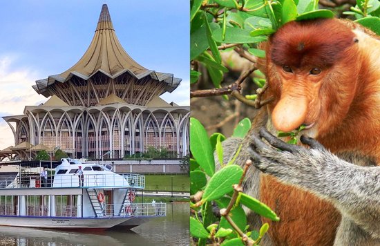 Royal Sarawak Cruise and Proboscis monkey