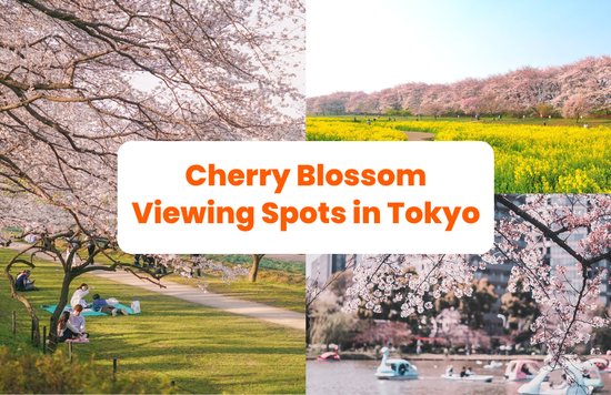 Cherry Blossom Tokyo Banner
